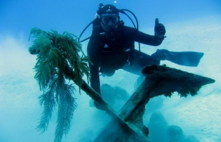  Aventure sous-marine 